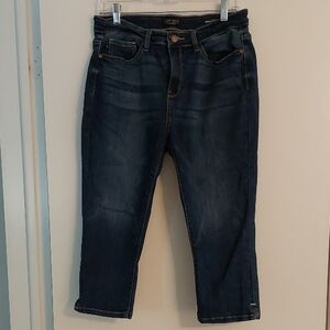 Judy Blue Dark Wash Skinny Fit Capri